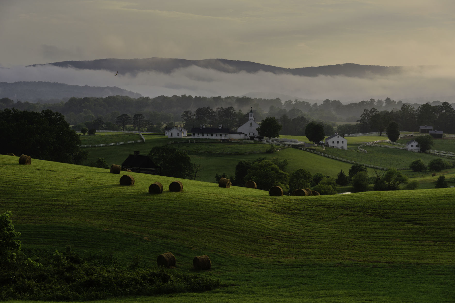 Farms & Open Spaces Category Honorable Mention #1: